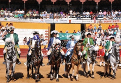 Imagens da corrida de Montemor  07-09-2014